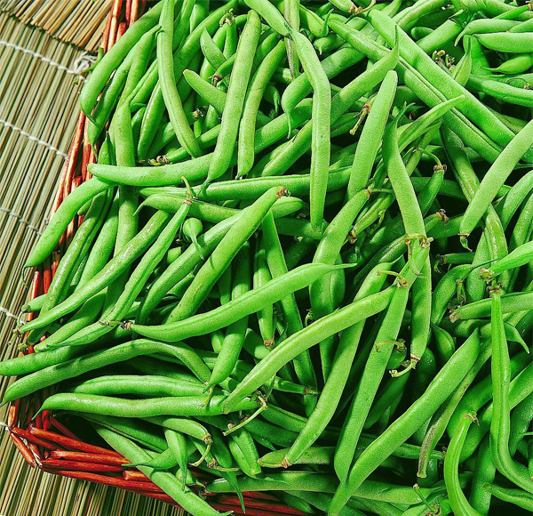 ���r�ļ���