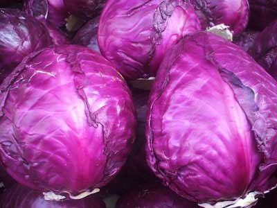 ���r�ϰײ�